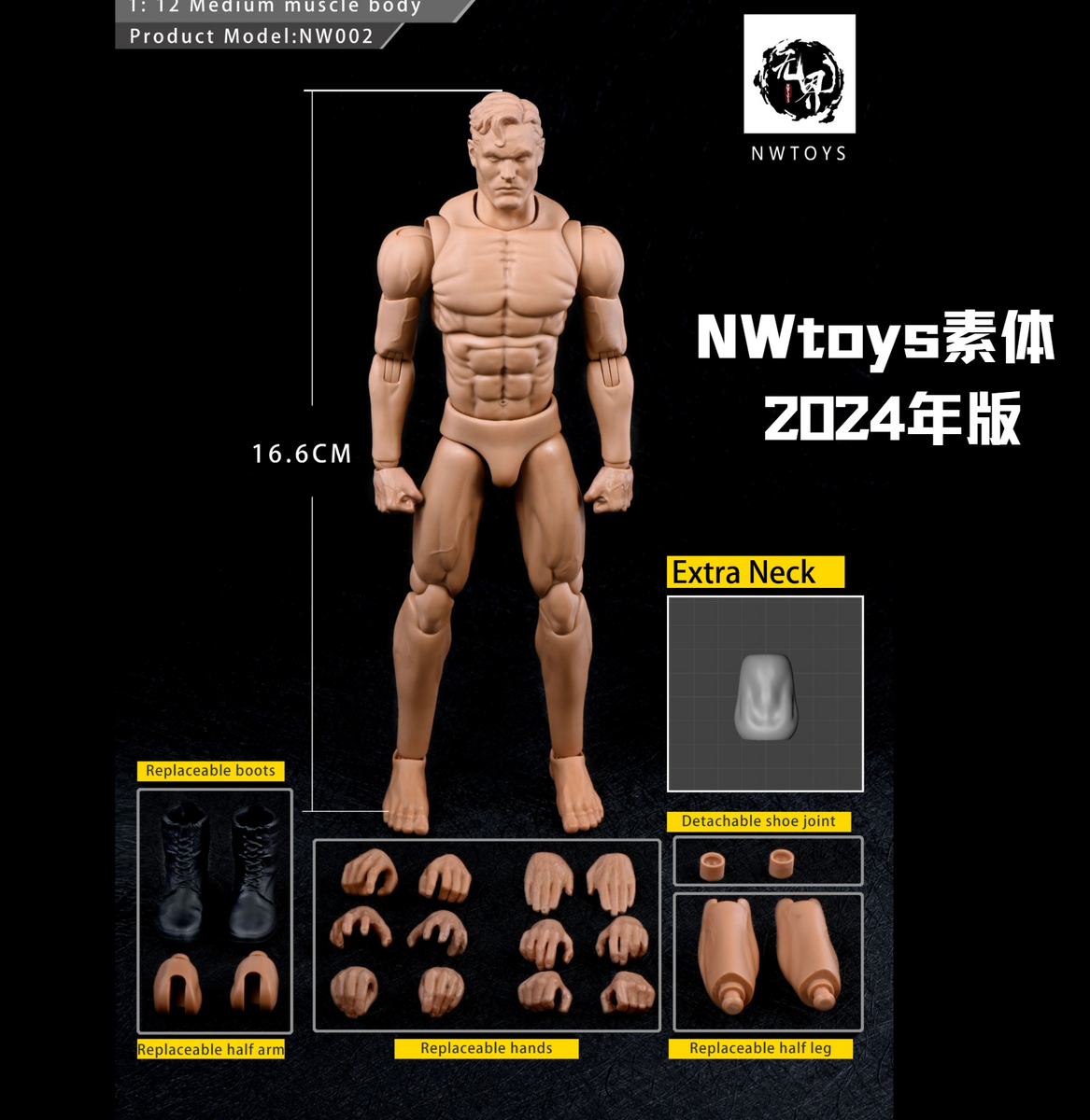 (Preorder) NWtoys 1/12 Male Blank Body 2024 New Version