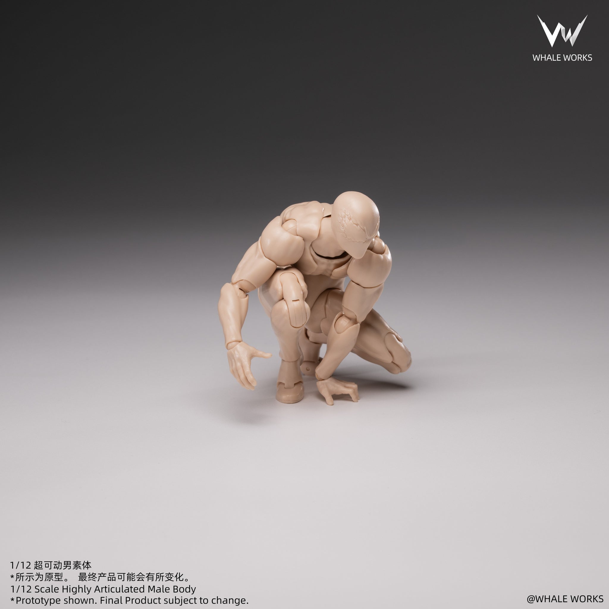 Preorder) Whale Works 1/12 Super Articulated Male Body ASH action