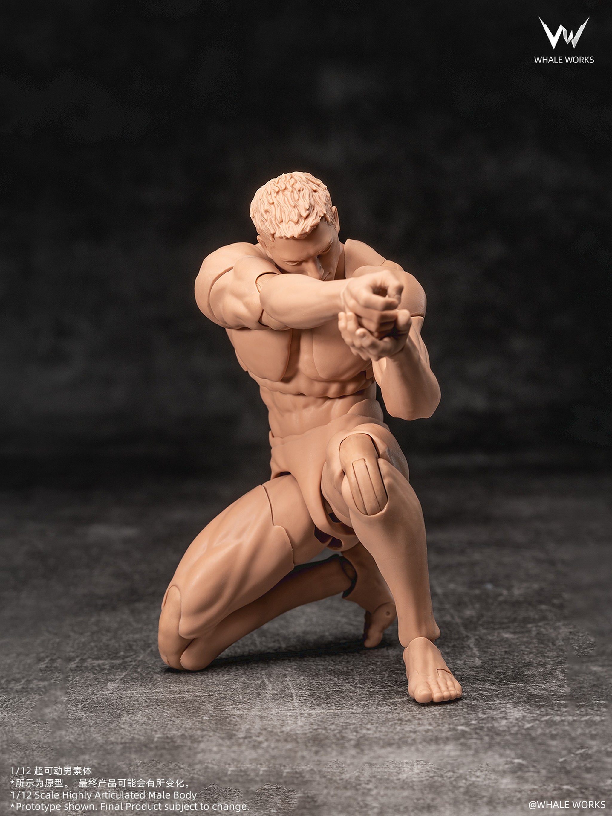 37㎝ブリキ少年 TG BOY ソフビ フィギュアtrue_gate_works Preorder) Whale Works 1/12 Super Articulated Male Body ASH action