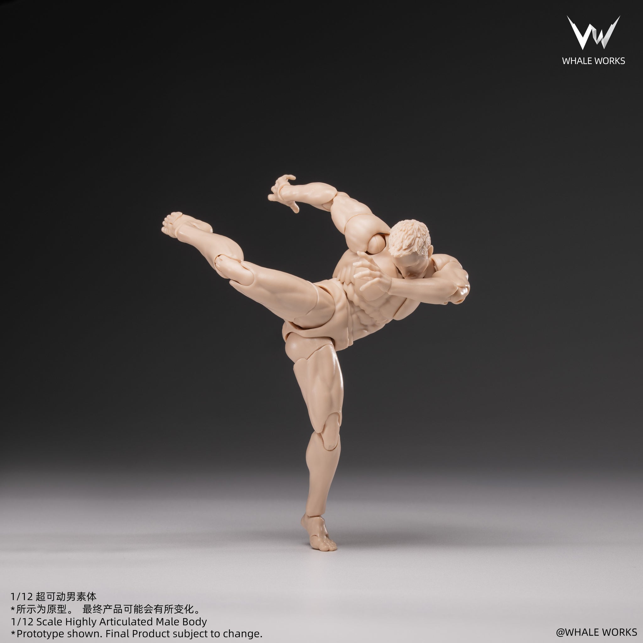 Preorder) Whale Works 1/12 Super Articulated Male Body ASH action