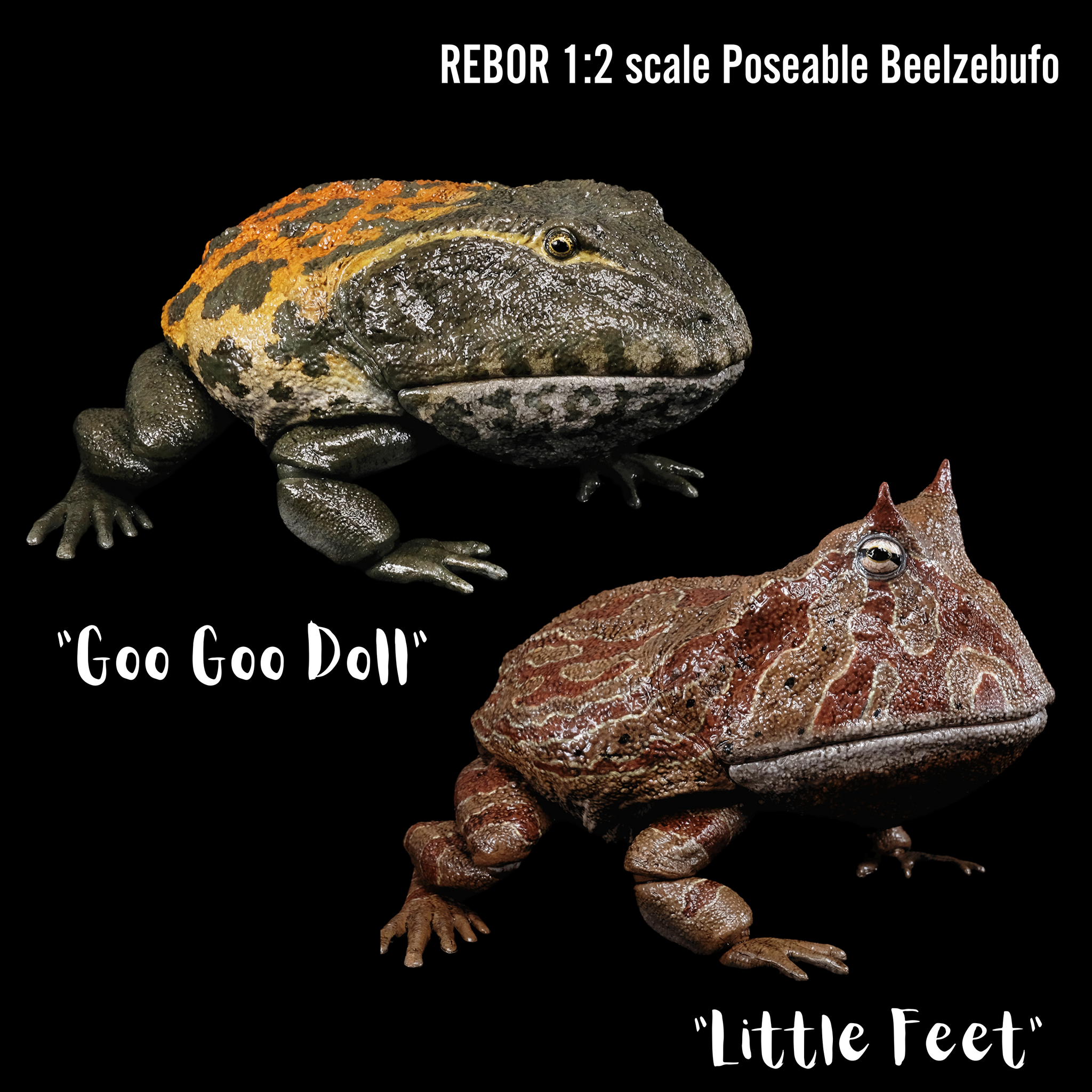ベース SOUND FROG BerialS ベース Sound Frog Berial Berial | SOUNDFROG SHOP